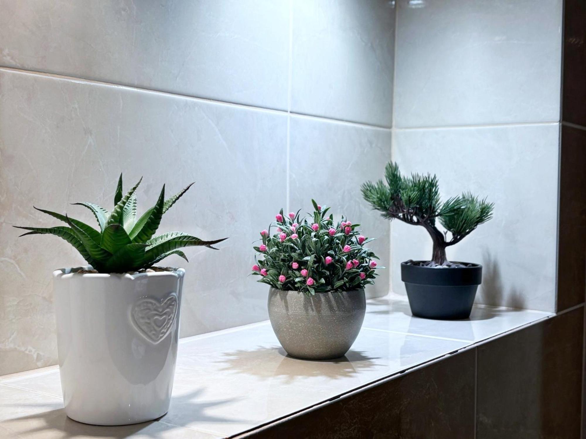 Apartamenty Bryza سفينويتشي المظهر الخارجي الصورة